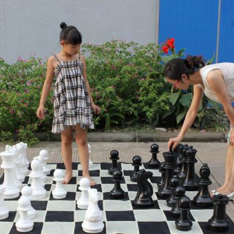 Большие садовые шахматы